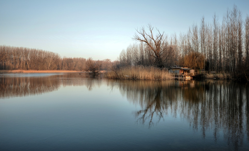 Luhy the danube slovakia