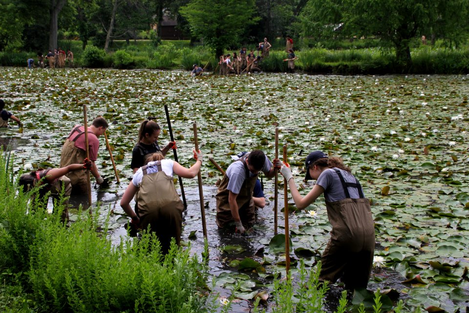 Kenilworth Aquatic Gardens