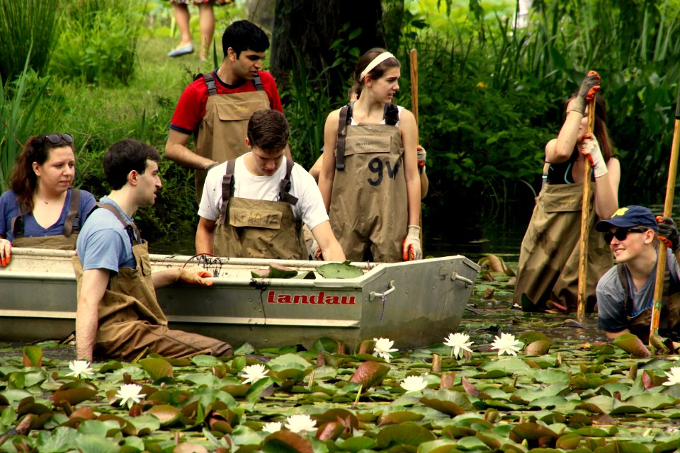 Kenilworth Aquatic Gardens