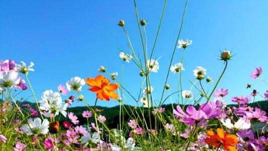September 29, 2018 wave in the wind (breeze)
