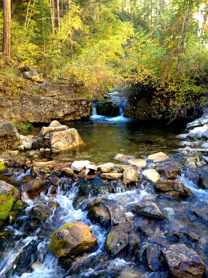Iron Creek in Spearfish Canyon