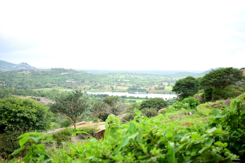 Nijagal hills Karnataka