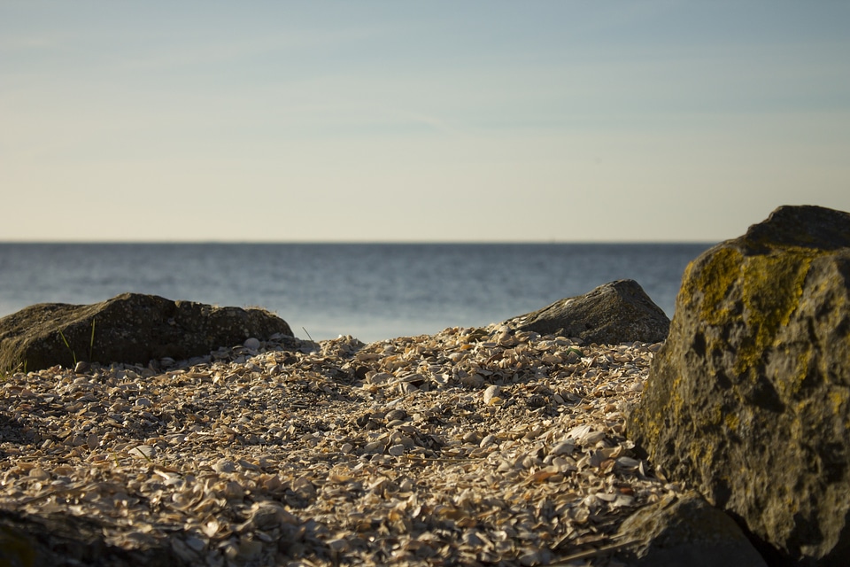 Stones shells sand