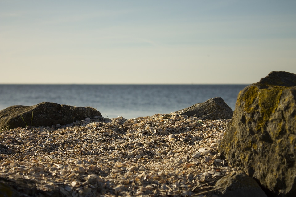 Stones shells sand photo