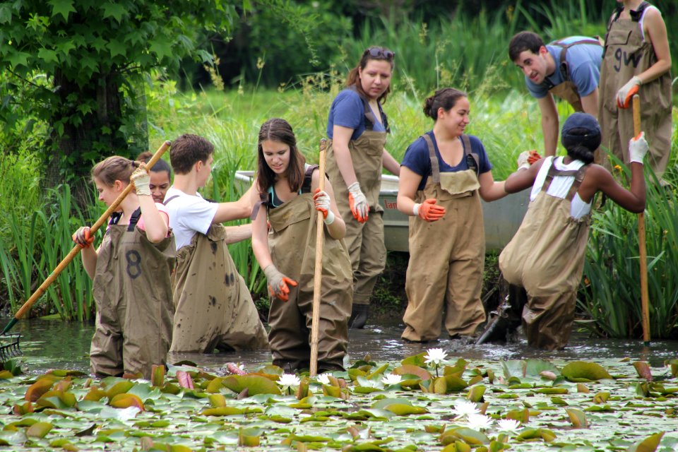 Kenilworth Aquatic Gardens