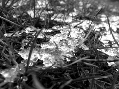 Cesped con Hielo