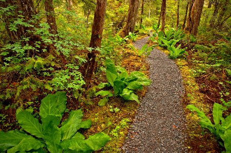 20110709-FS-Tongass-JW-001 photo