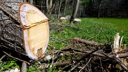 Boch Hollow State Nature Preserve