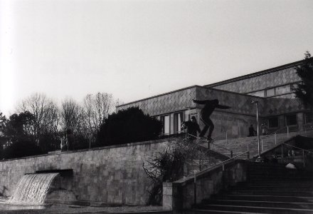 Tim | Bs 50:50 photo