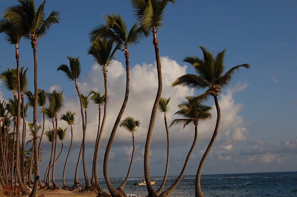 Hotel nature beach