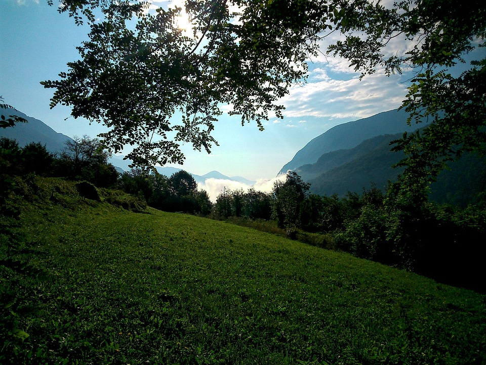 Nature background breginjski kot slovenia