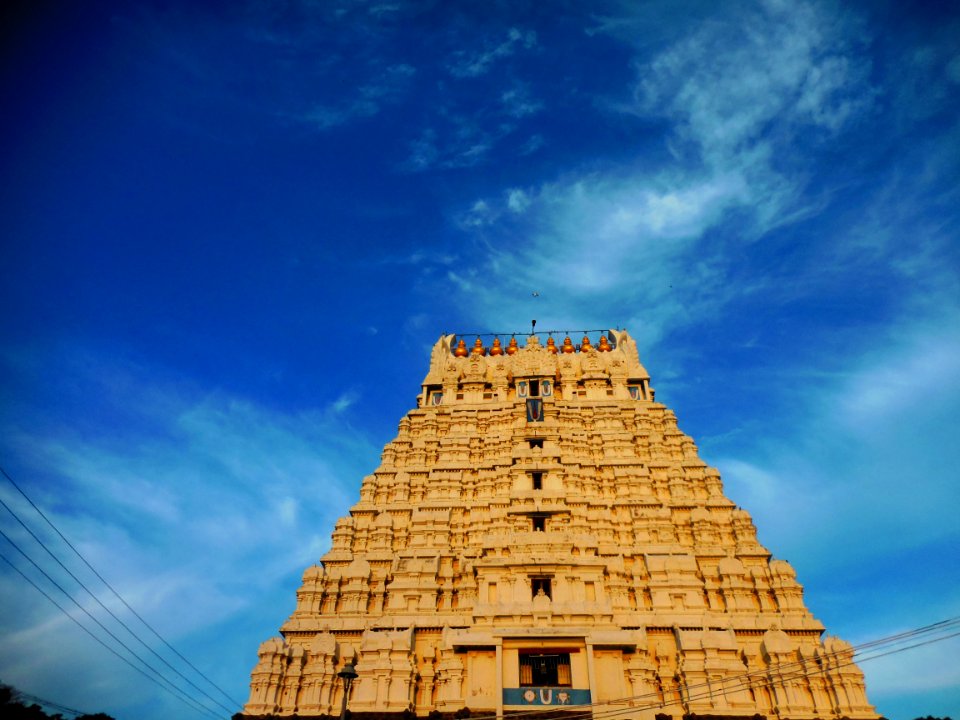 Varadharaja Perumal temple Kanchipuram TamilNadu