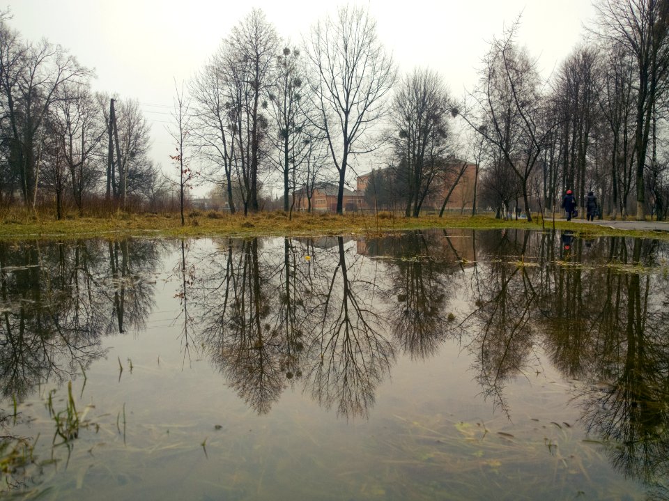 Ранок