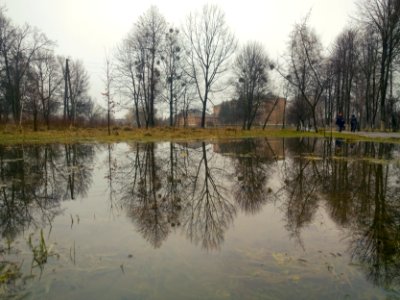 Ранок
