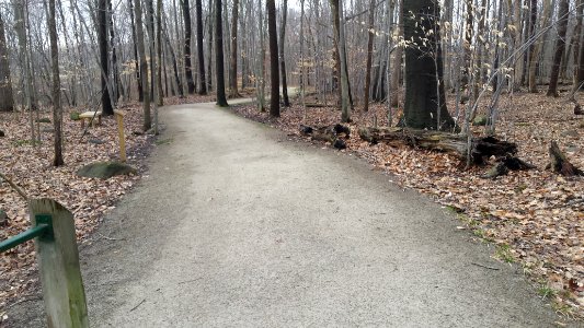 Cascade Park trail (42)