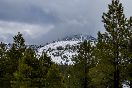 20170116-FS-Coconino-DLS-001