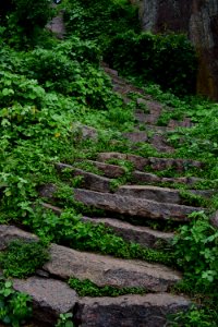 Nijagal hills Karnataka