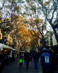 La Rambla #Barcelona #documentaryphotography #visualsoflife #España #street photo