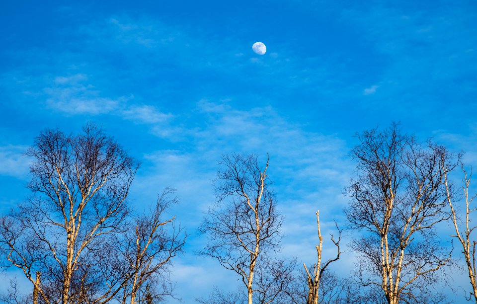 20180226-FS-LSC-0216