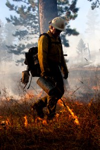 Prescribed Burn on Bearlodge Ranger District photo