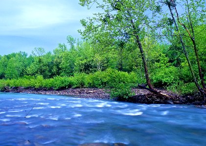2005XXXX-FS-Ozark-St. Francis National Forest-Mulberry R-TP-005