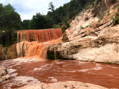 20170731-FS-Coconino-DB-002
