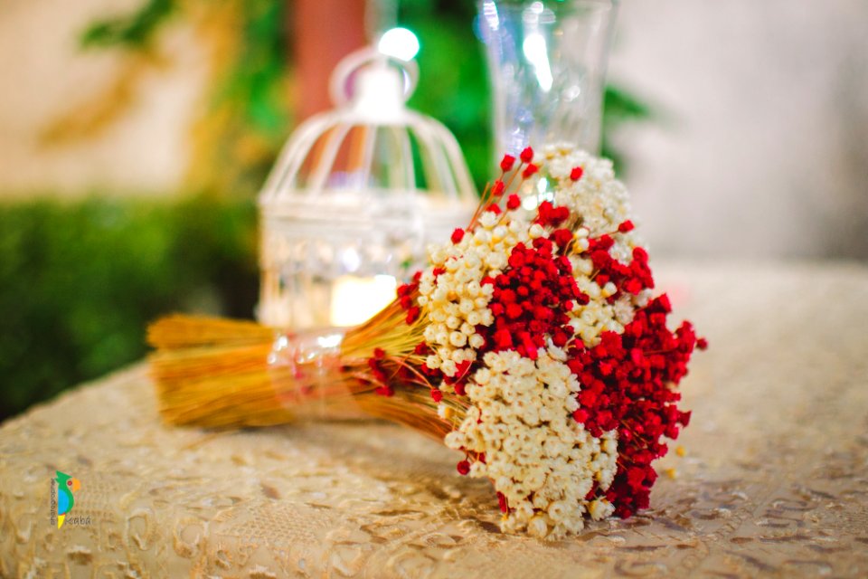Casamento - Jesse Carlton & Ana Cristina.
