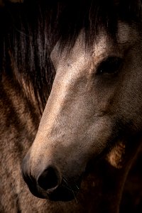 20190926-fs-lsc-0814 49752207202 o