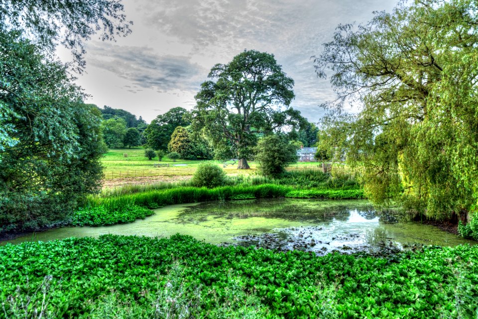 Killerton