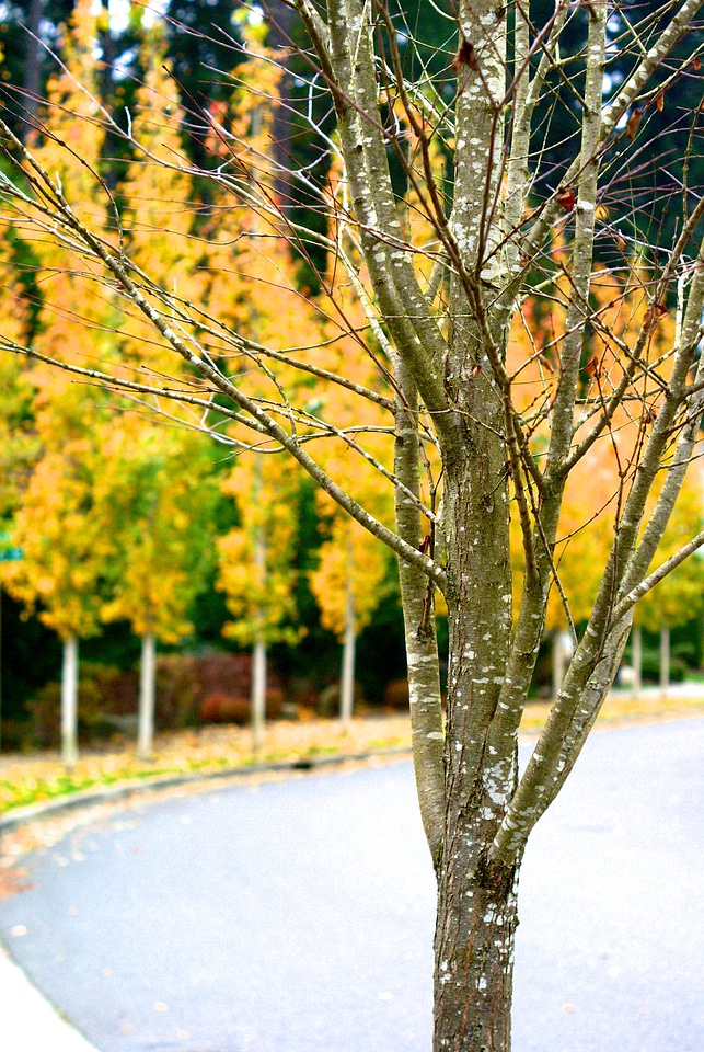 Nature season fall