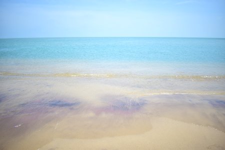 Dhanushkodi