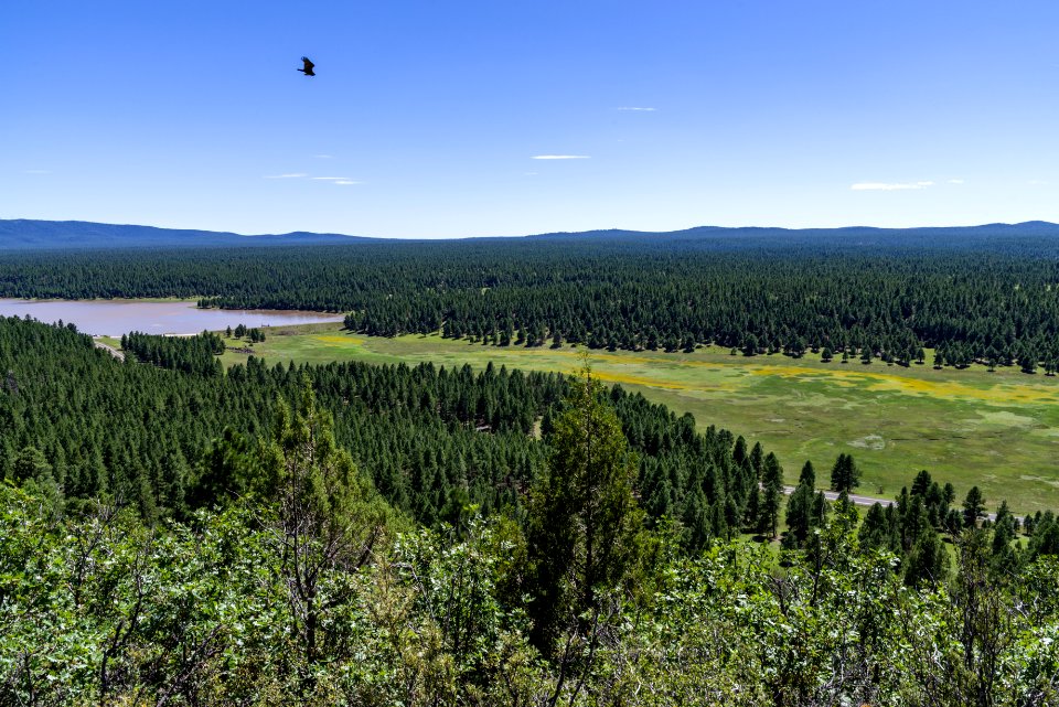 20170818-FS-Coconino-DLS-001