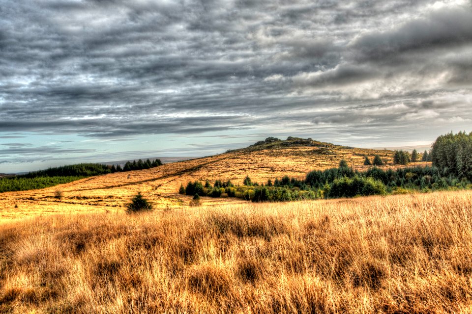 Dartmoor