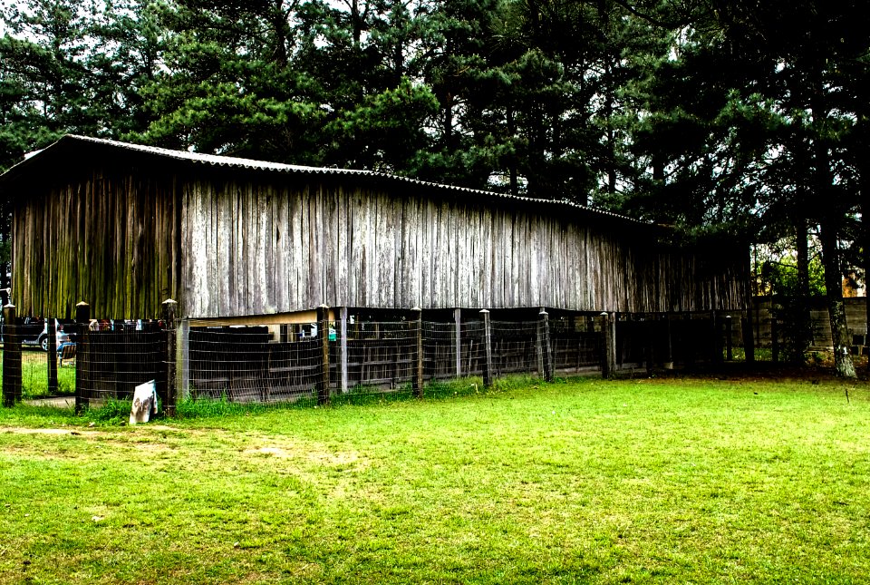 Sesc Petrópolis rs