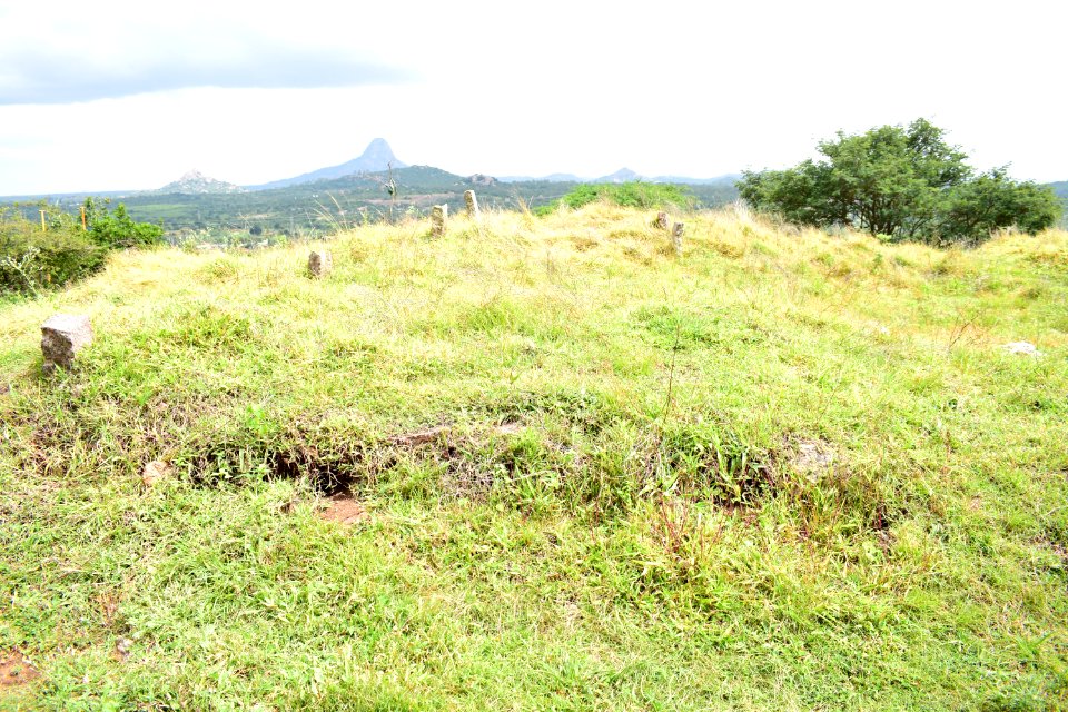 Nijagal hills Karnataka