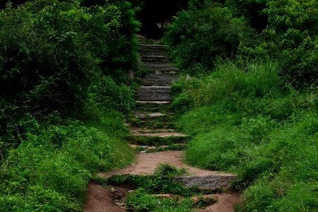 Nijagal hills Karnataka