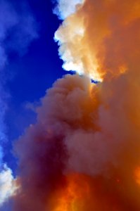 20100623-FS-Coconino-BS-003