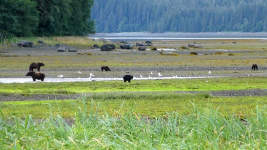 20120819-FS-Tongass-DM-016