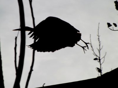 DSCF6562
