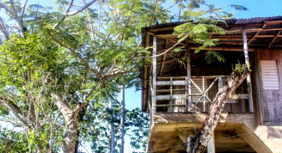 Treehouse