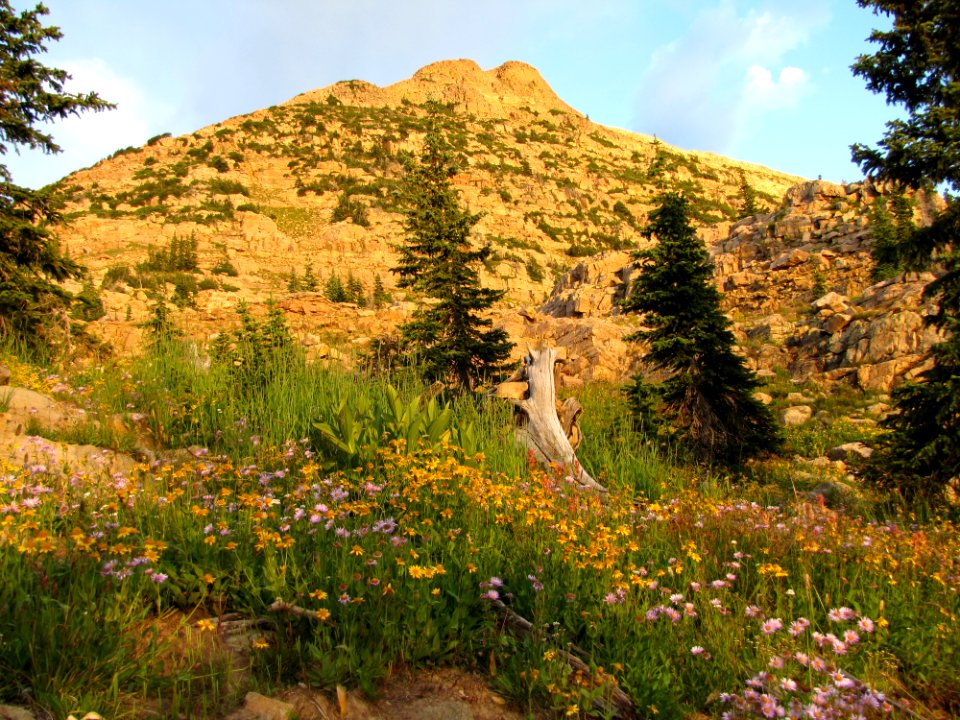 20110904-FS-Uinta-MM-001