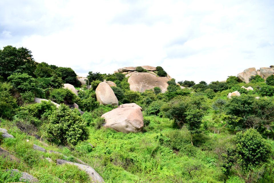 Nijagal hills Karnataka
