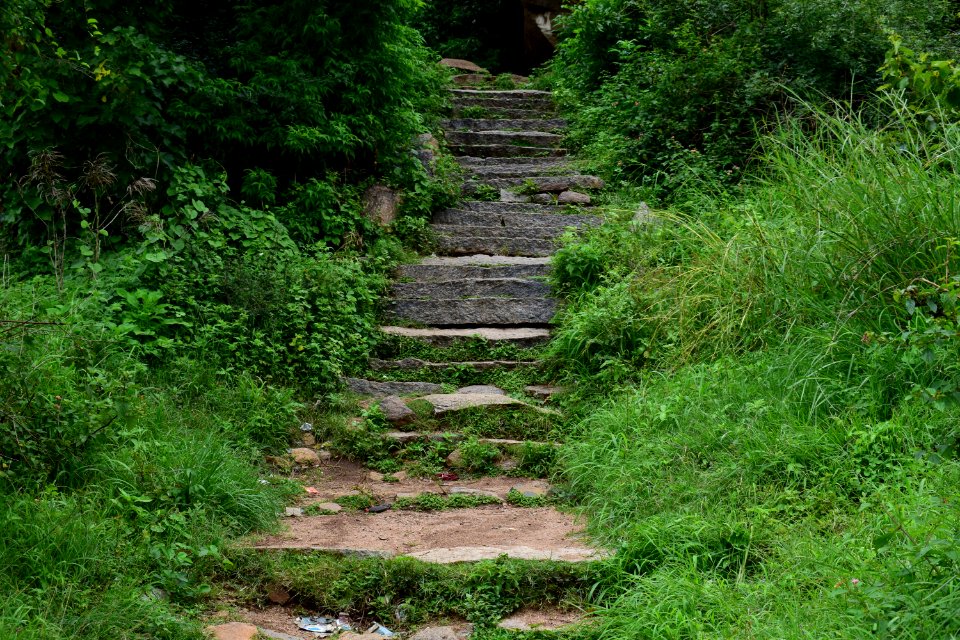 Nijagal hills Karnataka