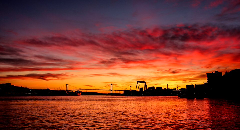 Our Golden Gate