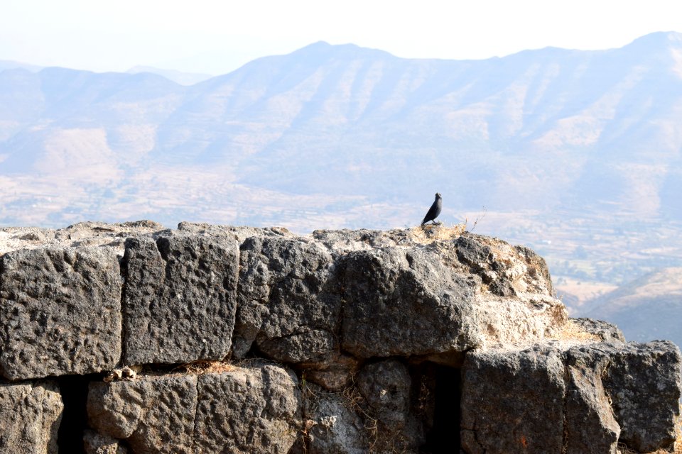 Sinhagad fort Pune Maharashtra
