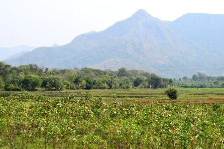 Kulasekharanathar temple Tenkasi Tamil Nadu