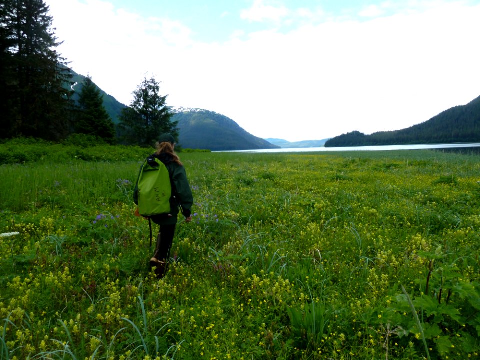 20110620-fs-tongass-packcreek-032 14281240709 o