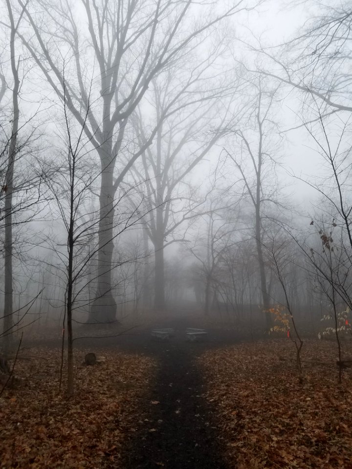 Cardiff Woods Park