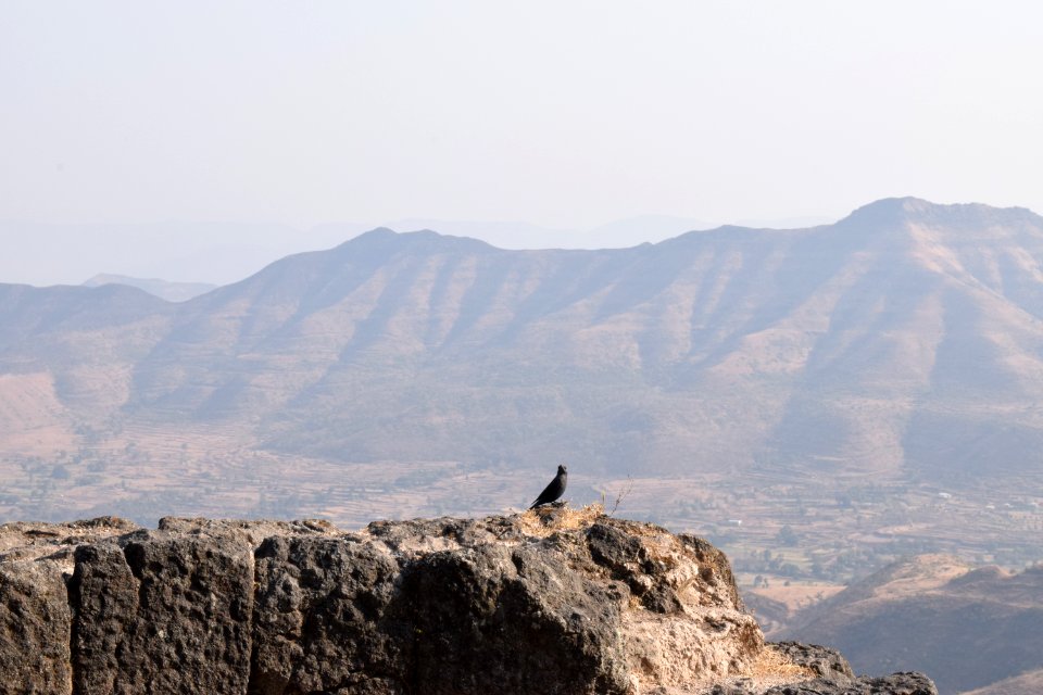 Sinhagad fort Pune Maharashtra