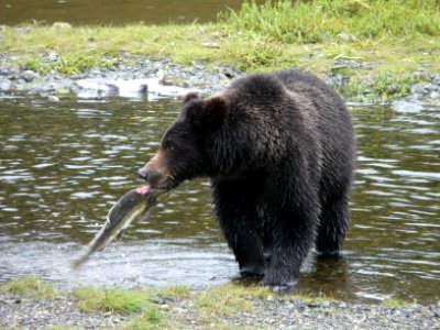 20110826-FS-Tongass-DM-028